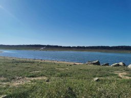 2023-09-29 SALAMANDRA II